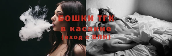 spice Бородино