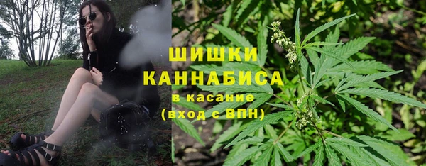spice Бородино