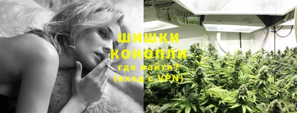 прущие грибы Верхнеуральск