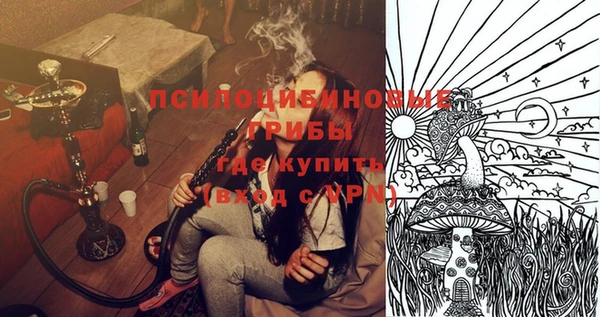 spice Бородино
