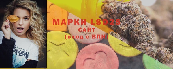ПСИЛОЦИБИНОВЫЕ ГРИБЫ Бугульма