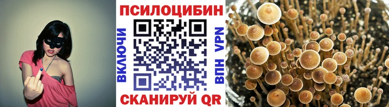 Псилоцибиновые грибы GOLDEN TEACHER  Джанкой 