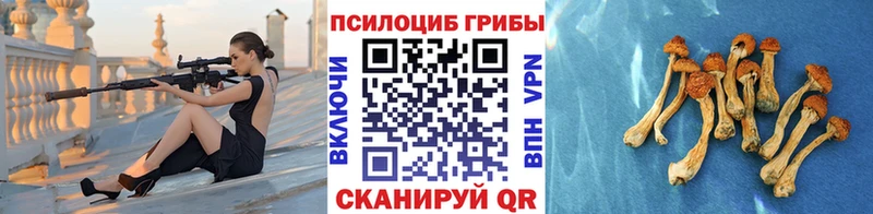 Псилоцибиновые грибы Cubensis Джанкой